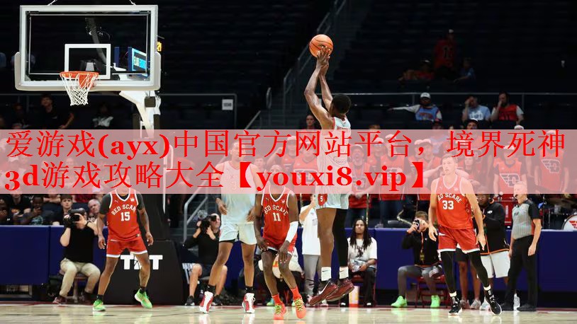 爱游戏(ayx)中国官方网站平台，境界死神3d游戏攻略大全