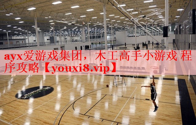 木工高手小游戏 程序攻略 木工高手小游戏 程序攻略