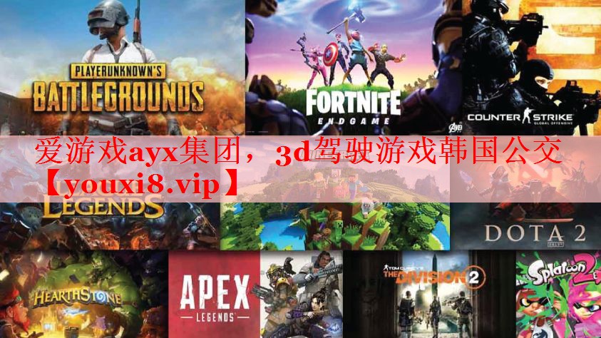 3d驾驶游戏韩国公交 3d驾驶游戏韩国公交