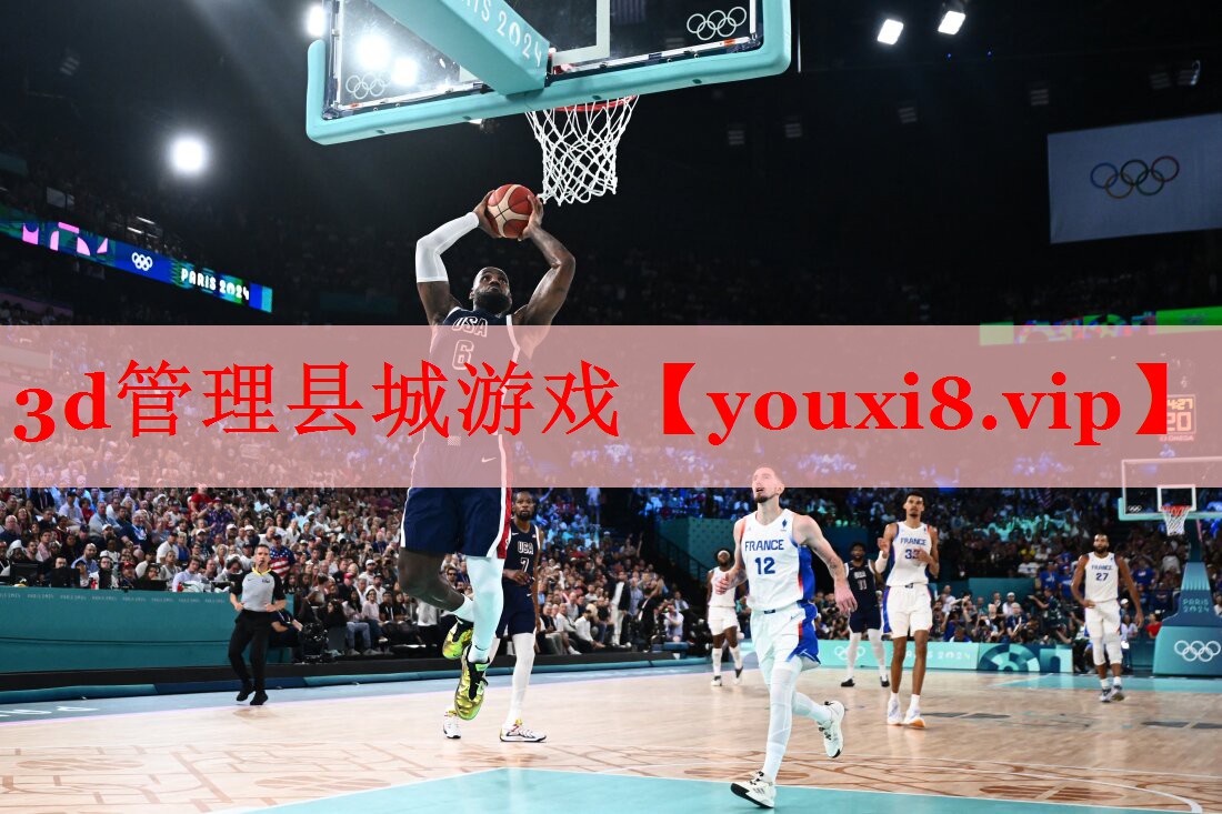 3d管理县城游戏 3d管理县城游戏
