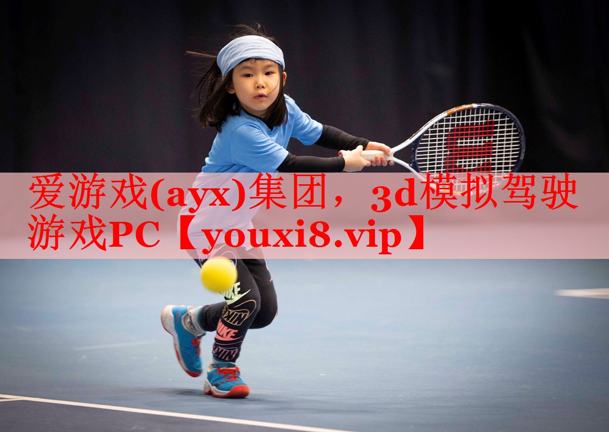 3d模拟驾驶游戏PC 3d模拟驾驶游戏PC
